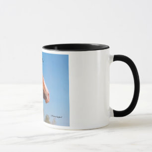 Pony Paint War Horse Feaths Mug