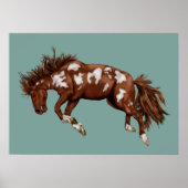  pony poster (Voorkant)