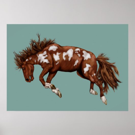  pony poster (Voorkant)