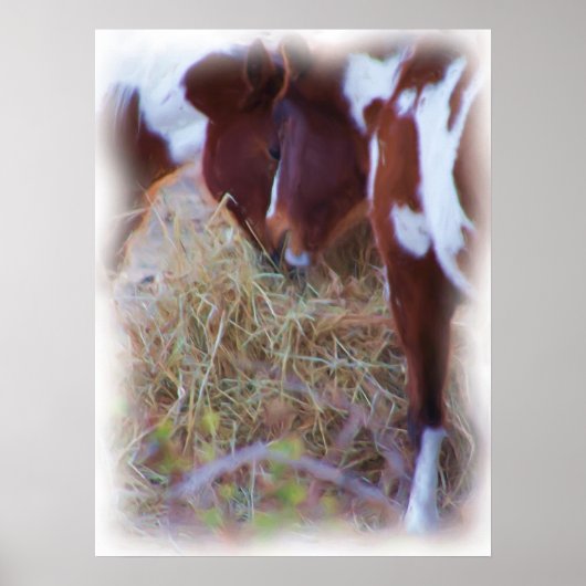 Pony Poster (Voorkant)