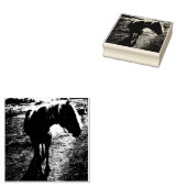Pony Silhoueted Rubber Stamp Rubberstempel (Gestempeld)