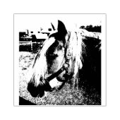 Pony Sluit Foto Rubber Stempel (Afrduk)