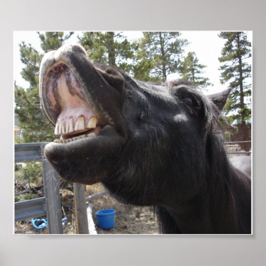 Pony Talk Poster (Voorkant)