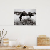 Pony van Chincoteague Poster (Keuken)