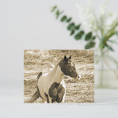 Pony verven briefkaart (Staand voorkant)