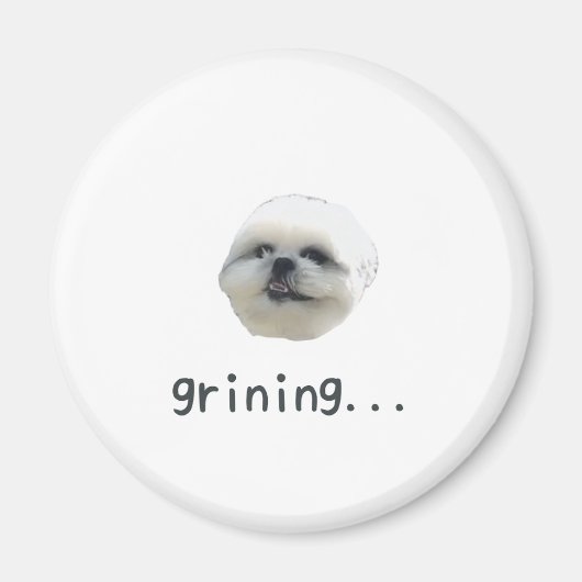 PONZU magnet (Devant)