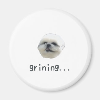 PONZU magnet Magneet