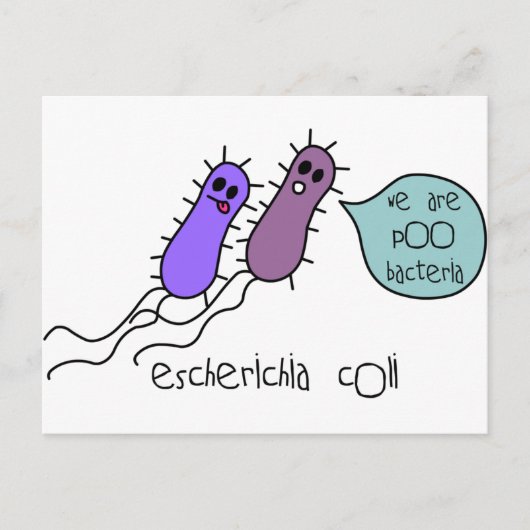 Poo Bacteria Briefkaart (Voorkant)