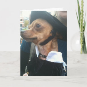 POOCH BEGINT PARDON-BELATED BIRTHDAY KAART