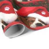 Poochie Papier (Rol Hoek)