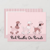 Poodé Rose Sur Carte Postale De Parade (Devant / Derrière)