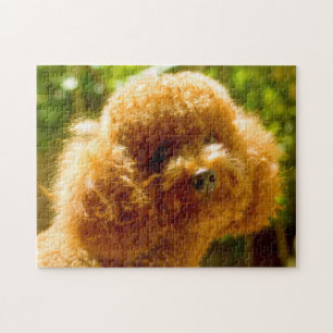 Poodelhonden. Legpuzzel