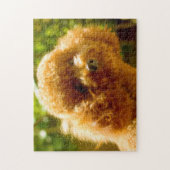 Poodelhonden. Legpuzzel (Verticaal)
