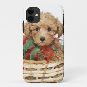 Poodelpuppy zittend in kerstmand iPhone 11 hoesje