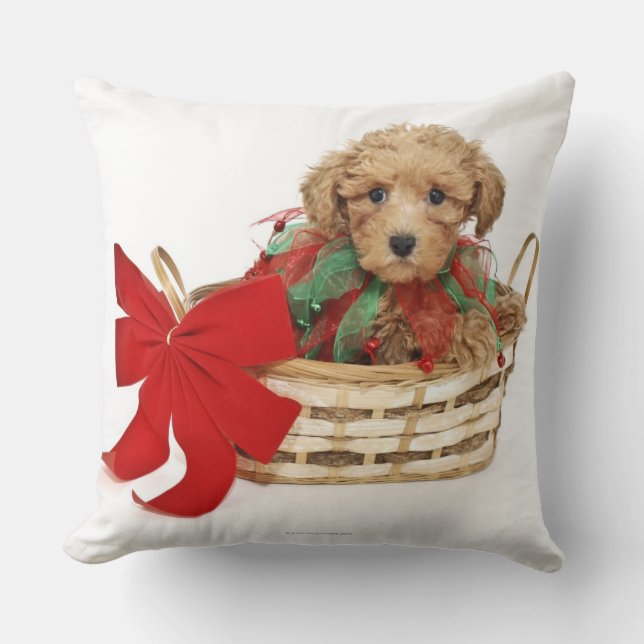 Poodelpuppy zittend in kerstmand kussen (Voorkant)