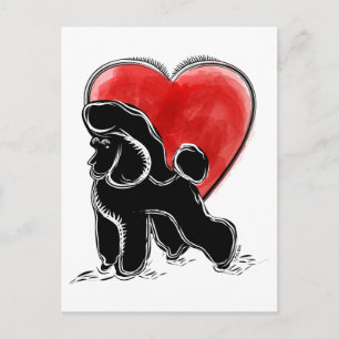 Poodeltekening Briefkaart