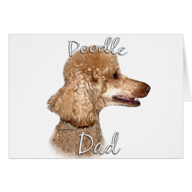Poodle (abrikoos) Pa 2 (Voorkant Horizontaal)