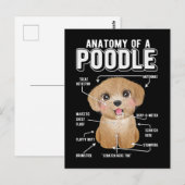 Poodle Anatomy Funny Dog Briefkaart (Voorkant / Achterkant)