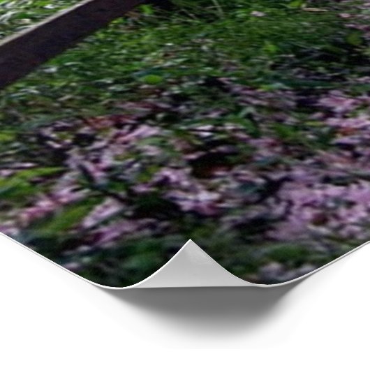 Poodle Black Poster Flowers (Coin)