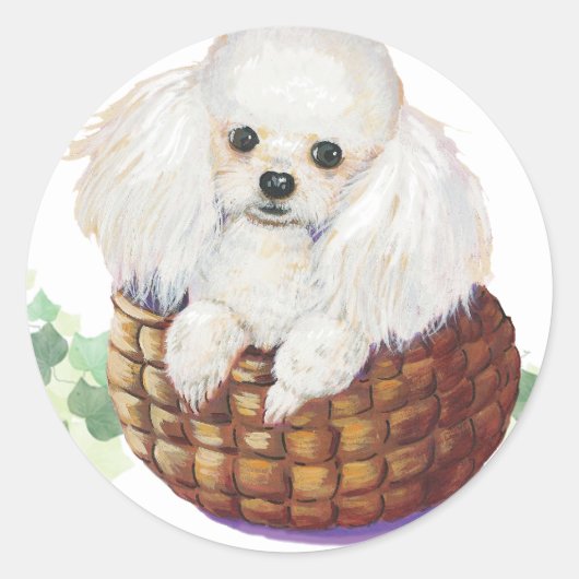 Poodle blanc dans le panier Art Imprimer Stickers (Devant)