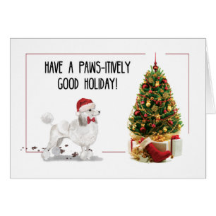 Poodle blanc drôle de Noël avec un arbre