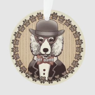 Poodle Blanc portant des lunettes