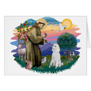 Poodle (blanc standard)