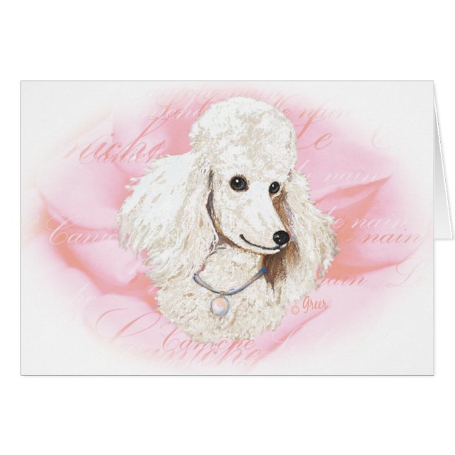 Poodle blanc sur portrait Rose (Devant Horizontal)