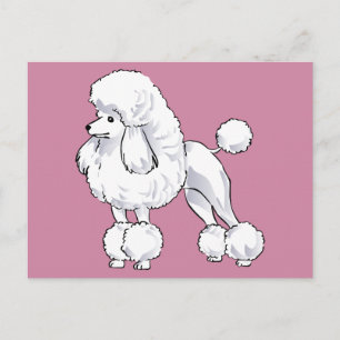 Poodle Briefkaart