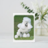 Poodle Briefkaart (Staand voorkant)