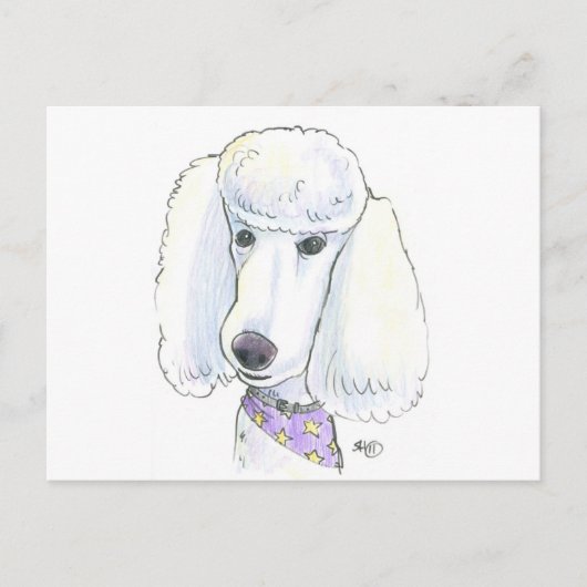 Poodle Briefkaart (Voorkant)