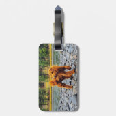 Poodle - cadeau bagagelabel (Achterkant verticaal)