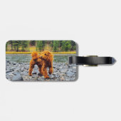 Poodle - cadeau bagagelabel (Achterkant horizontaal)