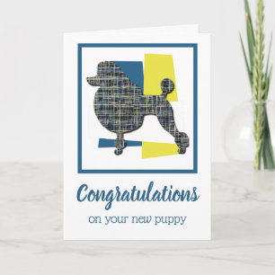 Poodle Chien Chien Félicitations Carte de voeux