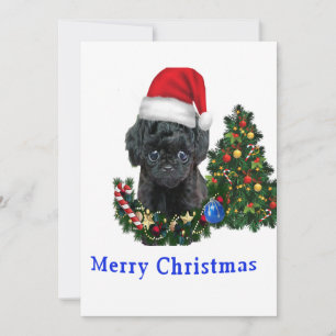 Poodle cute hond Kerstkaart