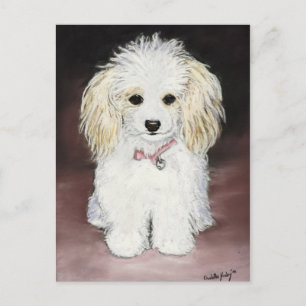 Poodle Dog Art Briefkaart