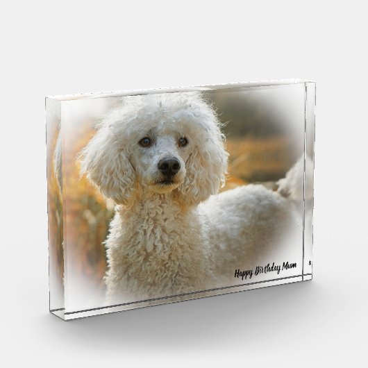 Poodle Dog Fotoblokken (Links)