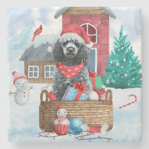 Poodle Dog in sneeuwkerstmis Stenen Onderzetter