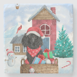Poodle Dog in sneeuwkerstmis Stenen Onderzetter