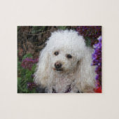 Poodle Dog Jigzaadpuzzel Legpuzzel (Horizontaal)