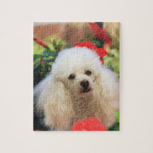 Poodle Dog Jigzaadpuzzel Legpuzzel