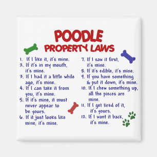 POODLE Eigendomsrecht 2 Magneet