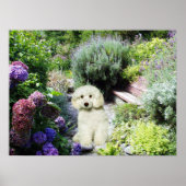 Poodle Garden Print (Voorkant)