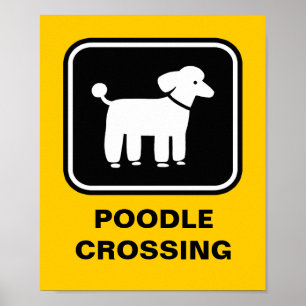 Poodle Grafisch (Wit op Zwart) Poster