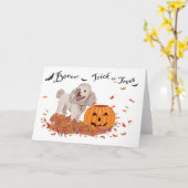 Poodle Halloween Kaart (Gele Bloem)