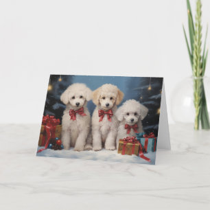 Poodle hond kerstkaart bedankkaart