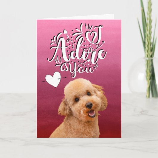 Poodle ... Ik aanbid je Valentijnsdag kerstkaart Feestdagen Kaart (Voorkant)