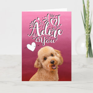 Poodle ... Ik aanbid je Valentijnsdag kerstkaart Feestdagen Kaart