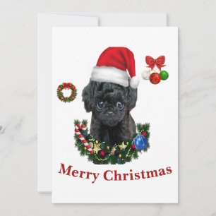 Poodle Kerst Kaart