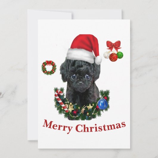 Poodle Kerst Kaart (Voorkant)